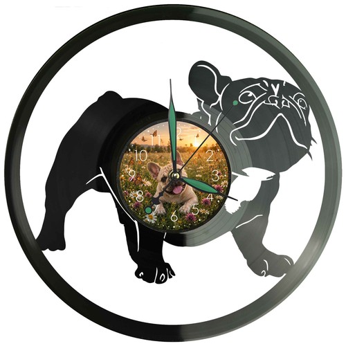 Französische bulldogge - französische,