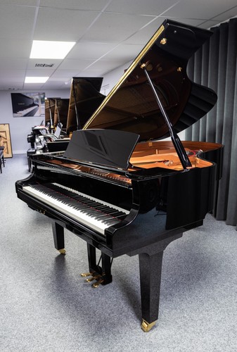 Yamaha c5x sh2 silent - c5x,