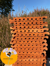 Strangfalzziegel Bienenstein