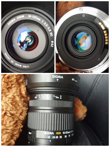 Sigma 125mm 5 - sigma, fur