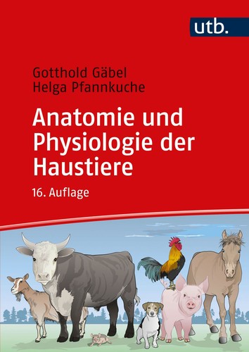 Anatomie und physiologie der - anatomie,
