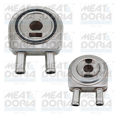 Meat doria 95199 - meat,