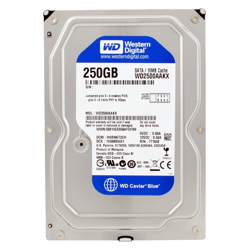 Festplatte western digital - western,
