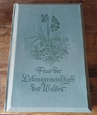 Raumbild Album - aus der