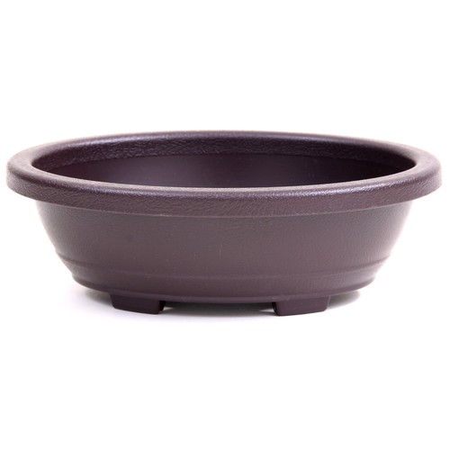 Bonsai schale oval - schale,