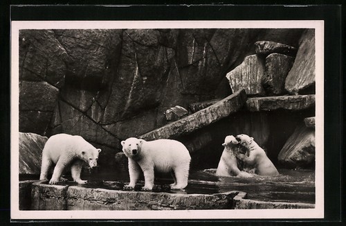 Hamburg hagenbecks tierpark - hamburg,,