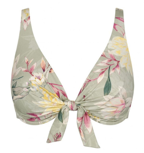 Triumph botanical leaf 02 - triumph,