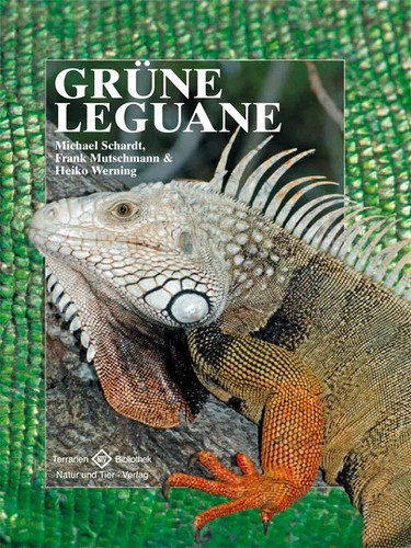 Grüne leguane michael schardt - leguane,