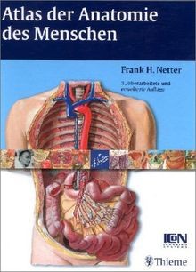 Atlas der anatomie - atlas,