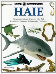 Sehen staunen wissen haie - sehen,,