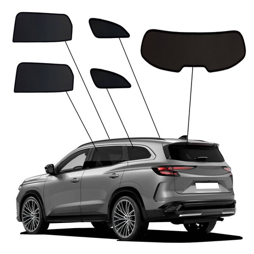 Auto sonnenschutz renault - auto,