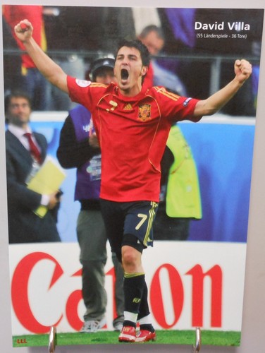 David villa spanien fußball - villa,
