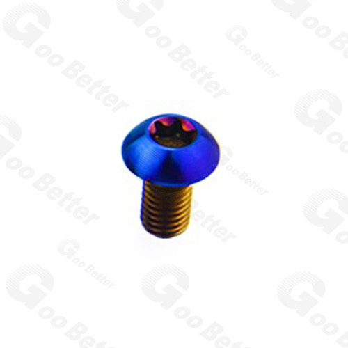 M5x10mm titan mtb - titan, fahrrad