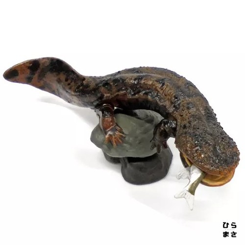 Japanischer riesensalamander - japanischer,