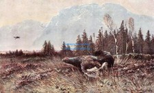Künstler feldpost an - künstler-ak,