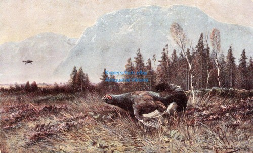 Künstler feldpost an - künstler-ak,
