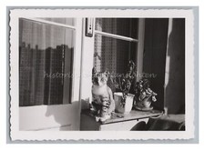 Beautiful Photo of Cat on