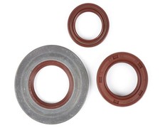 Wellendichtring Satz Motor BGM