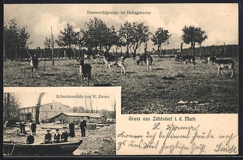 Zühlsdorf d mark - ak,