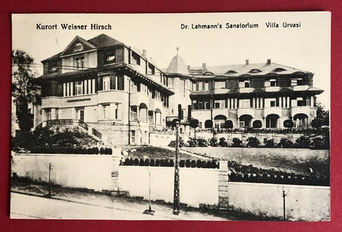 Dresden weisser hirsch 1918 - ak,