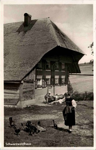 Schwarzwaldhaus 519942 - schwarzwaldhaus, -519942