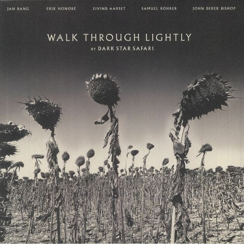 Dark star safari walk - -,