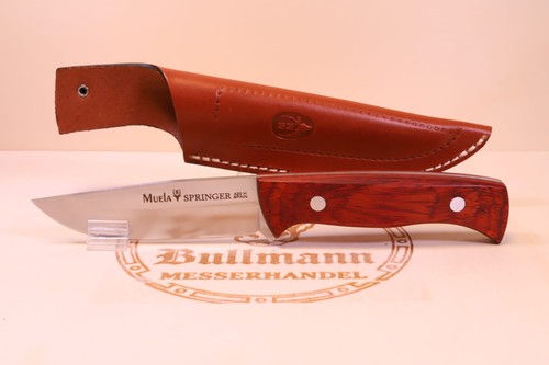 Muela springer spanisches - springer,