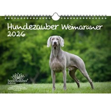 Hundezauber Weimaraner DIN A4 Kalender für 2026 Welpen und Hunde - Seelenzauber