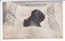FOTOKARTE , DACKEL , TECKEL , DACHSHUND , " JUNGGESELLE " , ca1910