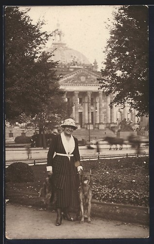 Foto berlin tiergarten - foto-ak, berlin-tiergarten