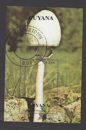 Pilze mushrooms briefmarken - pilze,