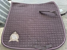 Braune Felix Bühler Dressur