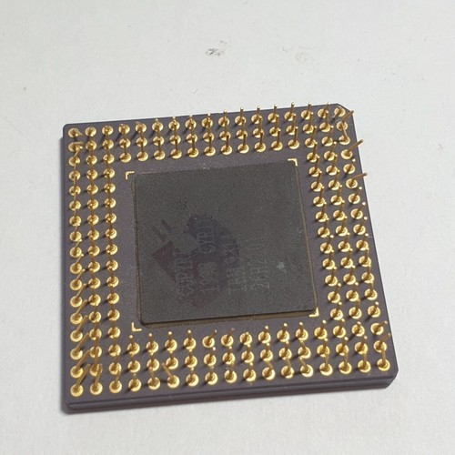 Ibm blue lightning - dx2, amd