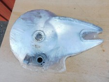 Neu NOS Orig. Zündapp ZD CS Hai 25 50 Bremsplatte Bremsankerplatte Felge hinten