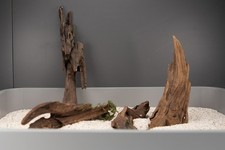 4 Stk. Nano Mangrovenwurzel Mangrove Echtholz-Wurzel Holz Aquariumwurzel