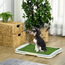 PawHut Welpentoilette