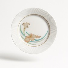 6x Hutschenreuter Limoges