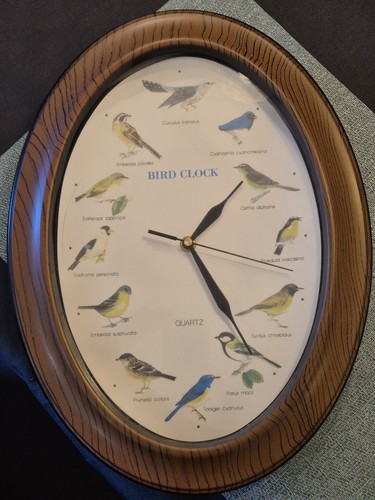 Wanduhr vogelmotiv - wanduhr,