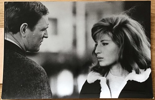 Monica vitti michelangelo - monica,