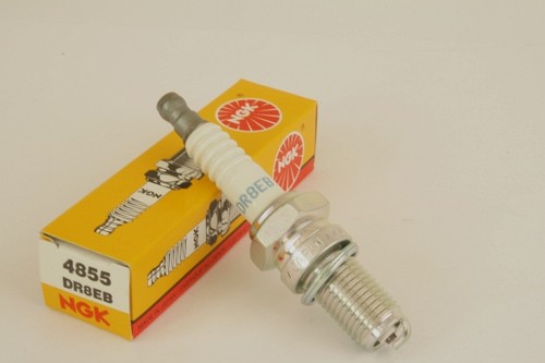 Zündkerze ngk dr8eb für - zündkerze, bmw