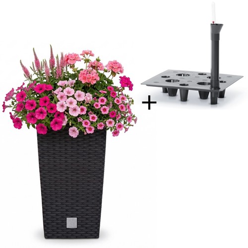 Blumentopf mit einsatz - blumentopf,