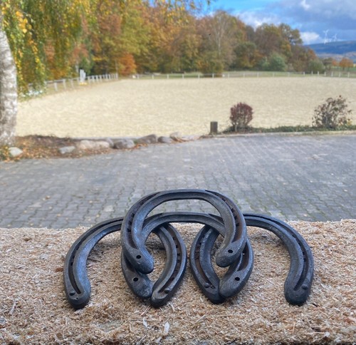 Hufeisen glücksbringer - 5x,