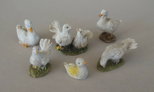 Taube tauben und - taube, enten