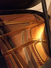 Flügel, Gotrian-Steinweg