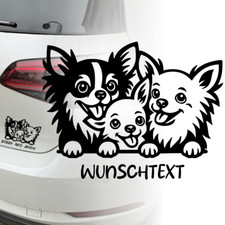 Chihuahua aufkleber trio - ,