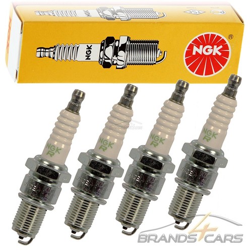 Ngk zündkerze zündkerzen - 4x,