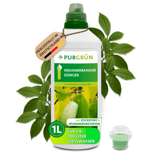 Purgrün pawpaw dünger npk - pawpaw,