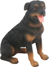 YTC Rottweiler Dog -