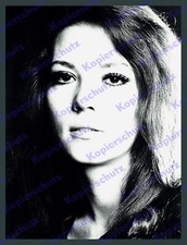 Orig foto porträt diana rigg - orig.,