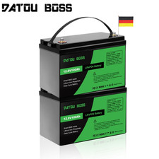 2PCS 12V 100AH LiFePO4 Lithium Batterie 100A BMS Akku für Solar Wohnmobil Boote